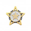 10" x 10" Solid Frame with Gold Plated Pewter : Star Awards