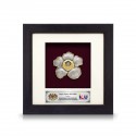 6" x 6" Frame with Gold Plated Pewter : Rafflesia