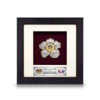 6" x 6" Frame with Gold Plated Pewter : Rafflesia