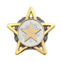 7" x 7" Frame with Gold Plated Pewter - Star Awards