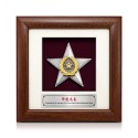 7" x 7" Frame with Gold Plated Pewter - Star Awards