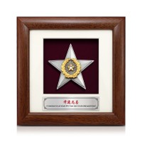 7" x 7" Frame with Gold Plated Pewter - Star Awards 7" x 7" Frame with Gold Plated Pewter - Star Awards