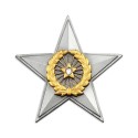 7" x 7" Frame with Gold Plated Pewter - Star Awards