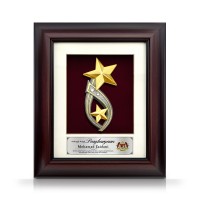 8.5" x 10" Solid Frame with Gold Plated Pewter : Double Star Awards