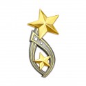 8.5" x 10" Solid Frame with Gold Plated Pewter : Double Star Awards