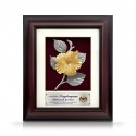 8.5" x 10" Solid Frame with Gold Plated Pewter : Bunga Raya (Hibiscus Flower)