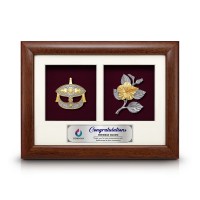2 in 1 Solid Frame with Gold Plated Pewter (GFS)