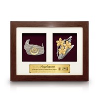2 in 1 Solid Frame with Gold Plated Pewter