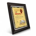 9" x 11" Award Plaque with Earthleaf Gold Aluminium Plate and Gold Plated Pewter - Gasing