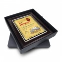 9" x 11" Award Plaque with Earthleaf Gold Aluminium Plate and Gold Plated Pewter - Gasing