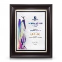 9" x 11" Silver Starlight Aluminium Plate With Award Plaque
