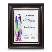 9" x 11" Silver Starlight Aluminium Plate With Award Plaque