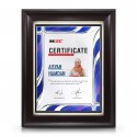 9" x 11" Prismatic Violet Aluminium Plate With Award Plaque