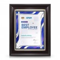9" x 11" Prismatic Violet Aluminium Plate With Award Plaque