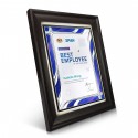9" x 11" Prismatic Violet Aluminium Plate With Award Plaque