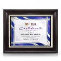 9" x 11" Prismatic Violet Aluminium Plate With Award Plaque
