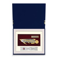 8" x 10" Book Frame with Gold Plated Pewter : Asian Arowana 8" x 10" Book Frame with Gold Plated Pewter : Asian Arowana