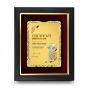 10" x 12.5" Earthleaf Gold Aluminium Plate With Premium Plaque And Gold Plated Pewter - Cheongsam