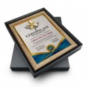 9.5" x 13" Brown Certificate Frame with Gold Plated Pewter - Orchid Flower