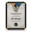 9.5" x 13" Dark Certificate Frame with Gold Plated Pewter - Flying Eagle