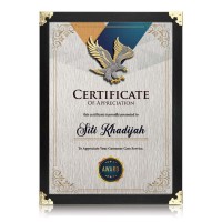 9.5" x 13" Dark Certificate Frame with Gold Plated Pewter - Flying Eagle