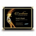 9.5" x 13" Dark Black Certificate Frame with Gold Plated Pewter : Double Star Awards