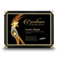 9.5" x 13" Dark Black Certificate Frame with Gold Plated Pewter : Double Star Awards
