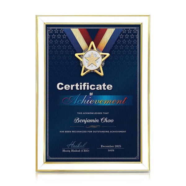 White Gold Certificate Frame with Gold Plated Pewter - Star Awards