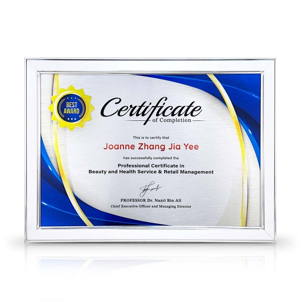 White Silver Certificate Frame
