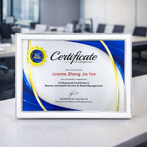 White Silver Certificate Frame