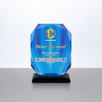 5.51" Mini Crystal Trophy
