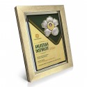 9" x 11" Glory Plaque with Gold Plated Pewter - Rafflesia