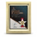 9" x 11" Glory Plaque with Gold Plated Pewter - Star Awards