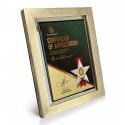 9" x 11" Glory Plaque with Gold Plated Pewter - Star Awards