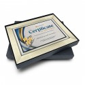 10.5" x 13.5" Glory Plaque with Gold Plated Pewter - Orchid 3 Flowers (Anggerik)