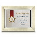 10.5" x 13.5" Glory Plaque with Gold Plated Pewter - Star Awards