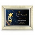 10.5" x 13.5" Glory Plaque with Gold Plated Pewter - Double Star Awards