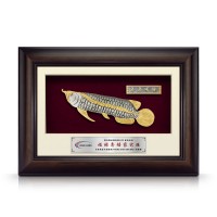 8.5" x 12" VIP Frame with Gold Plated Pewter - Asian Arowana (Big)