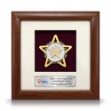 8" x 8" Solid Frame with Gold Plated Pewter - Star Awards