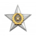 8" x 8" Solid Frame with Gold Plated Pewter - Star Awards
