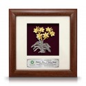 8" x 8" Solid Frame with Gold Plated Pewter - Orchid 6 Flowers (Anggerik)