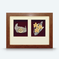 2 in 1 Solid Frame with Gold Plated Pewter