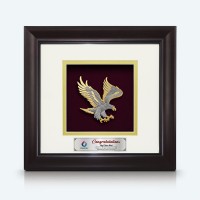 10" x 10" Solid Frame with Gold Plated Pewter : Flying Eagle