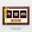 3 in 1 Solid Frame with Gold Plated Pewter (GFS)