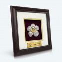 10" x 10" Solid Frame with Gold Plated Pewter : Rafflesia