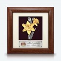 7" x 7" Frame with Gold Plated Pewter - Narcissus Flower