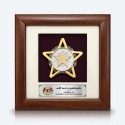 7" x 7" Frame with Gold Plated Pewter - Star Awards
