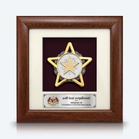 7" x 7" Frame with Gold Plated Pewter - Star Awards