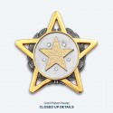 7" x 7" Frame with Gold Plated Pewter - Star Awards