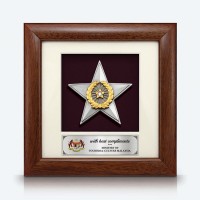 7" x 7" Frame with Gold Plated Pewter - Star Awards